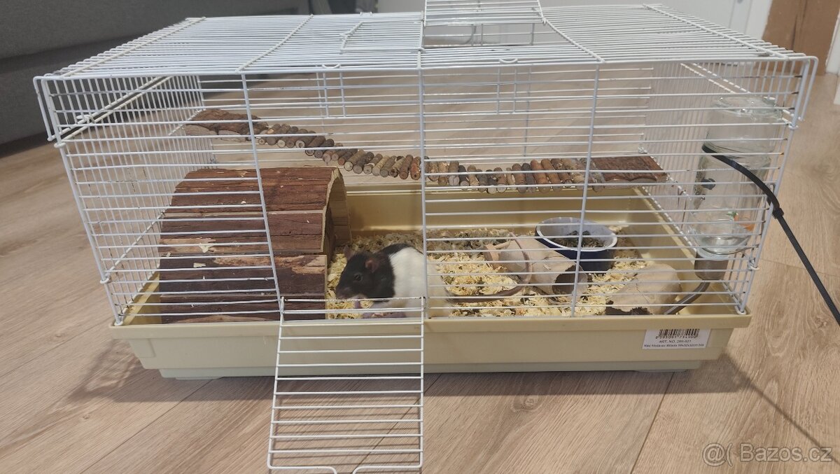 Potkan+vybavení pro hlodavce - 3