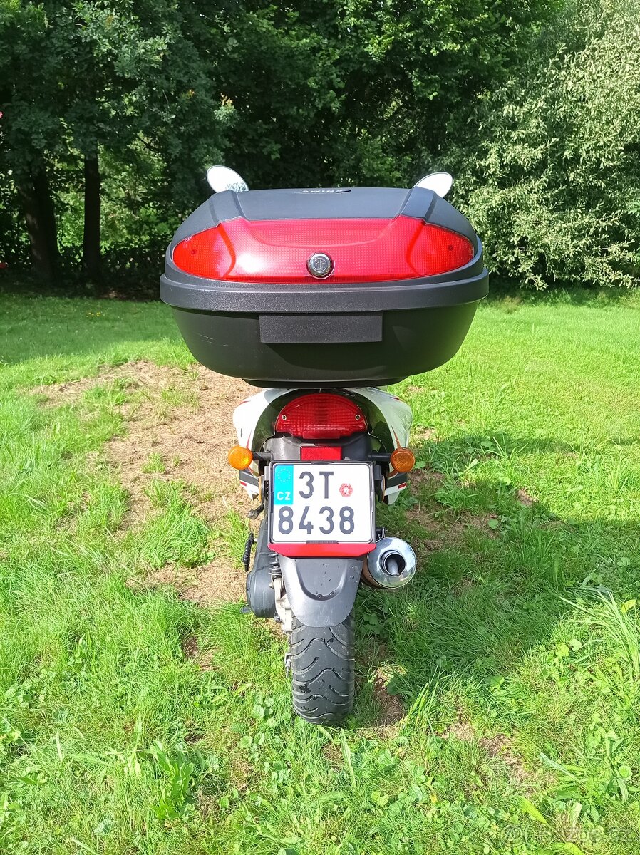 Kentoya Sharky 50 2T - 3