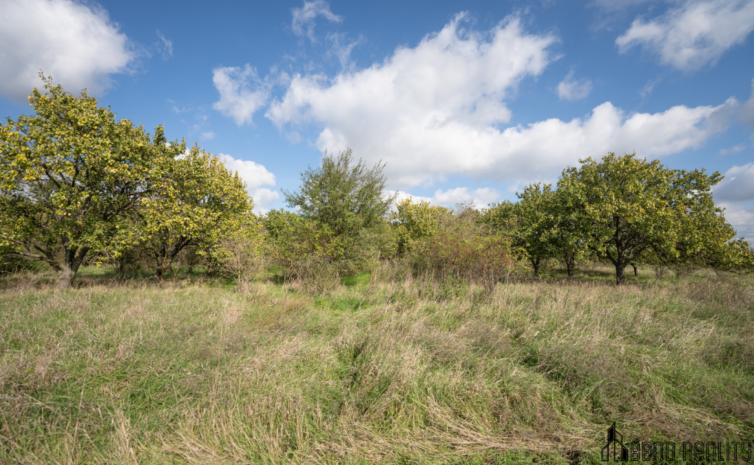 Prodej meruňkového sadu, 14 896 m², Hustopeče u Brna - 3