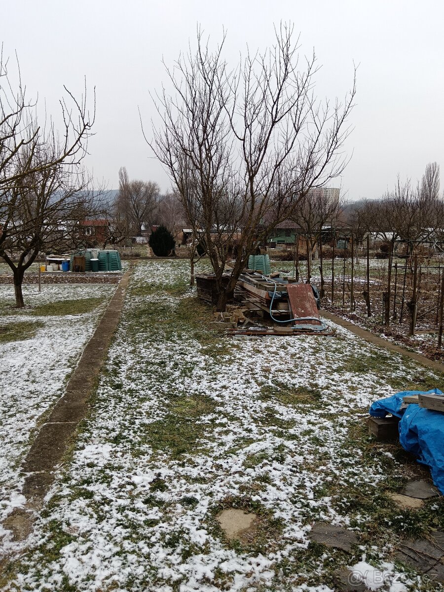 Zahrada s chatou, Otrokovice sad Míru štěrkoviště - 3