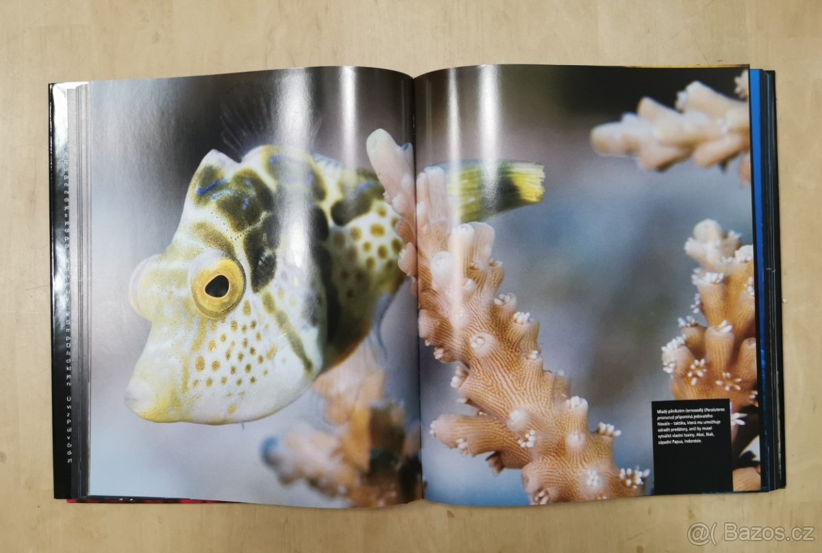 Útes - obrazová publikace - 3