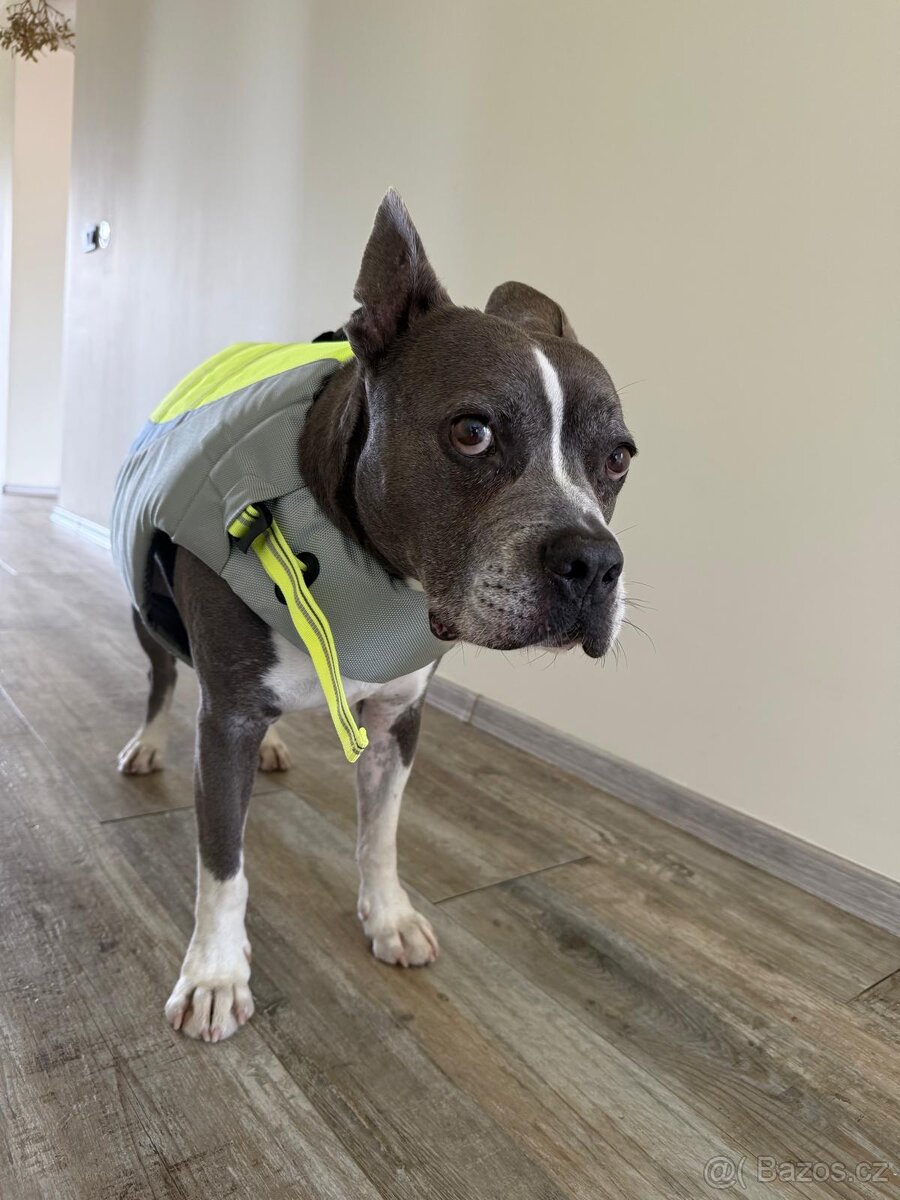 Záchranná vesta pro psa - 3