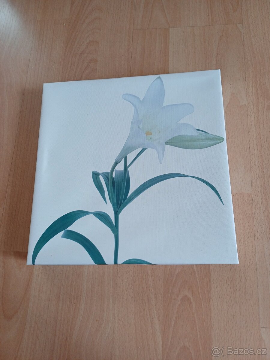 3x obrázek (28 x 28 cm) - 3