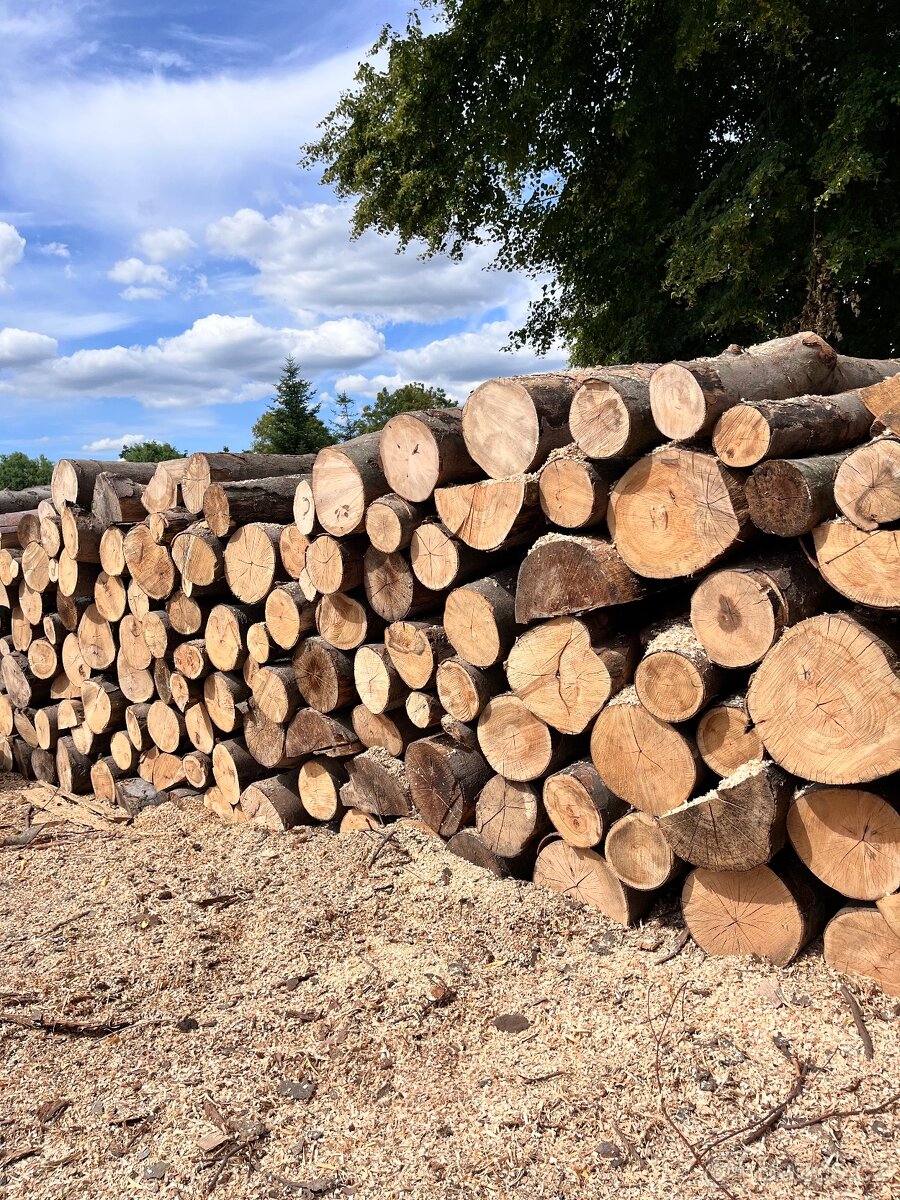 Palivové dříví - 3