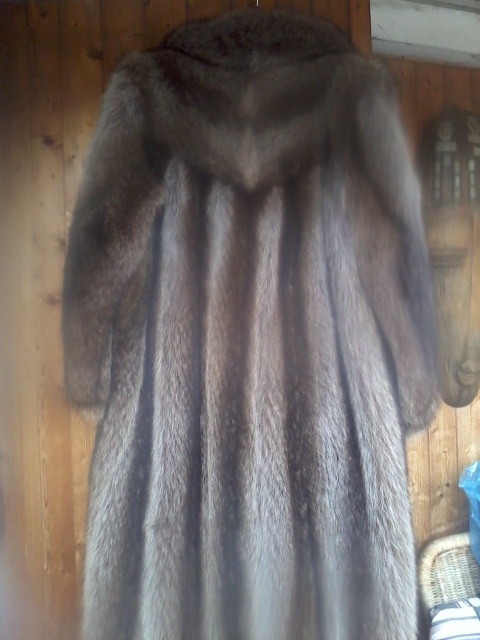 kožich mýval, norek - 3