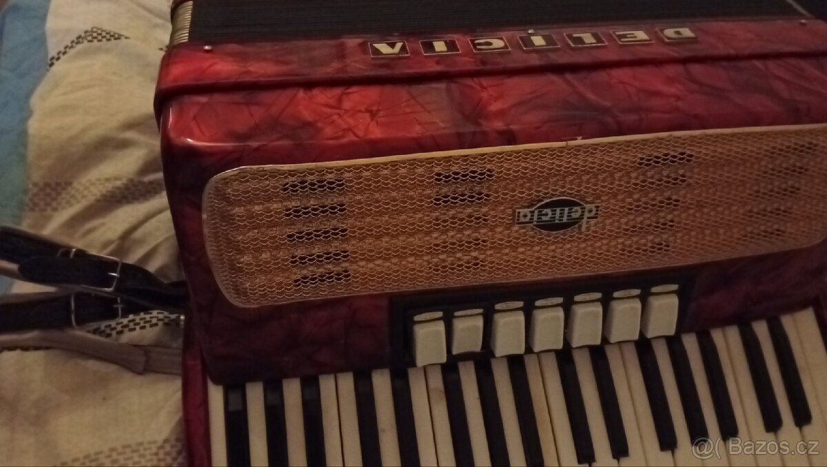 Harmonika DELÍCIA Carmen 3 - 3