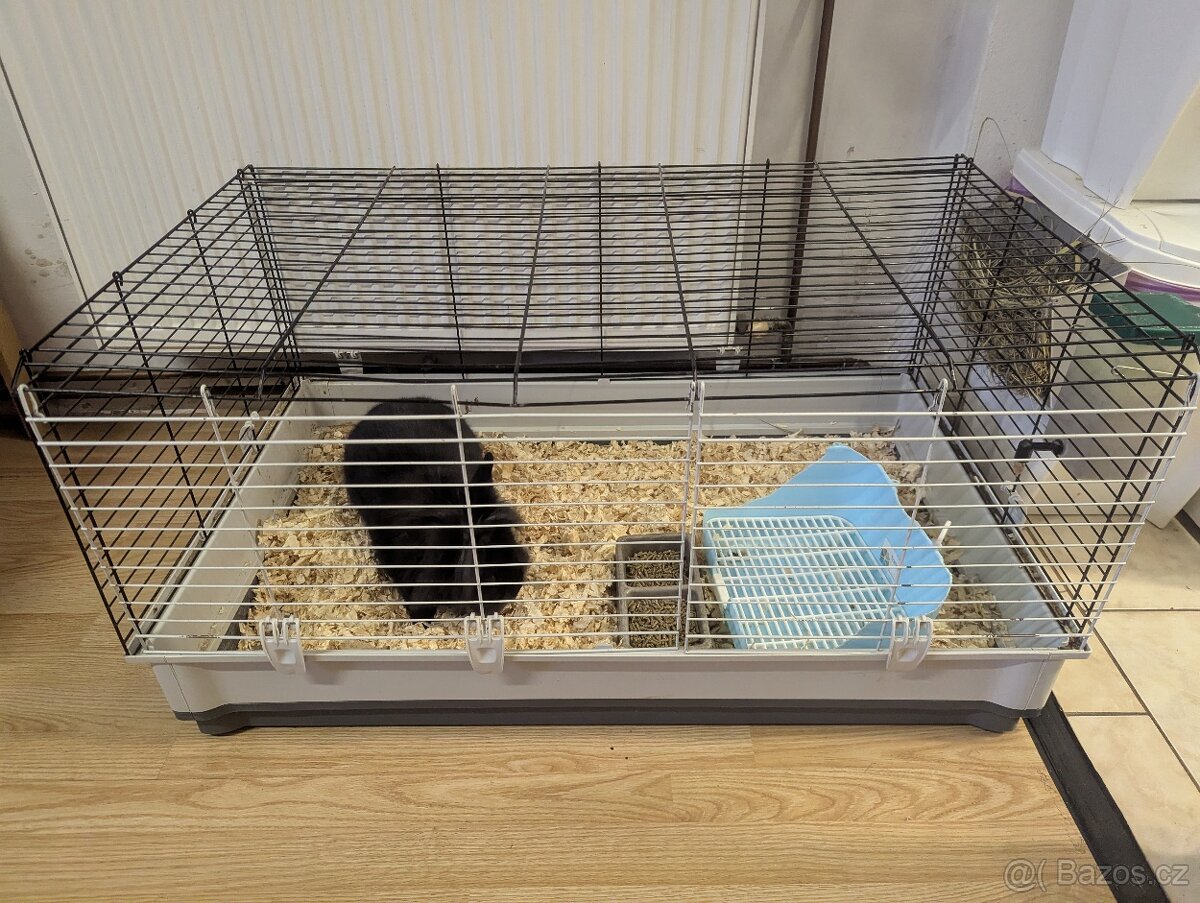 Darujeme kralika - 3