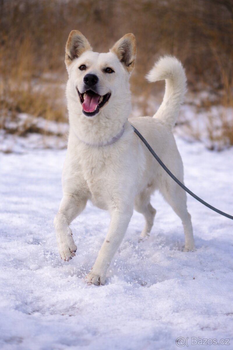 Zaira hledá domov - 3