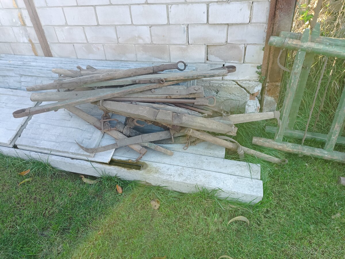 Žebřiňák - 3