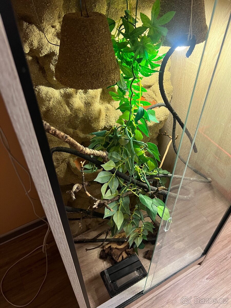 Terárium pro chameleona - 3