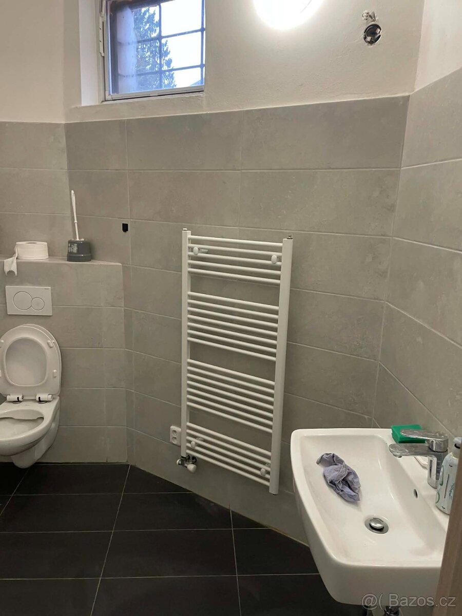 Pronájem bytu 3+kk - 3