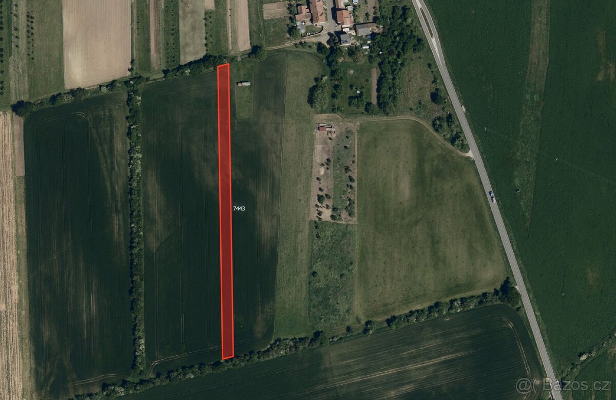 Zemědělská půda, prodej, Milotice, Hodonín - 3