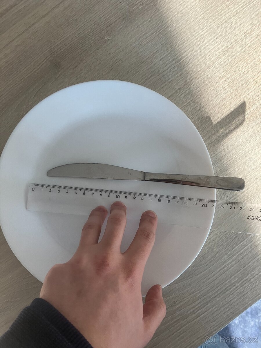 Talíře OFTAST, bílý, mělký, prům. 25cm, 6000ks, 7kč/ks. - 3