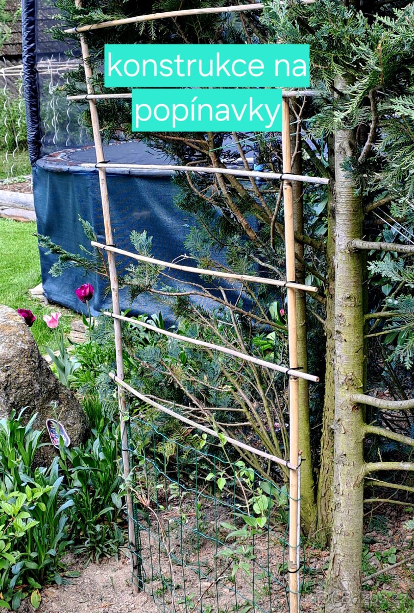 Bambusové pruty 180 a 150cm - 3