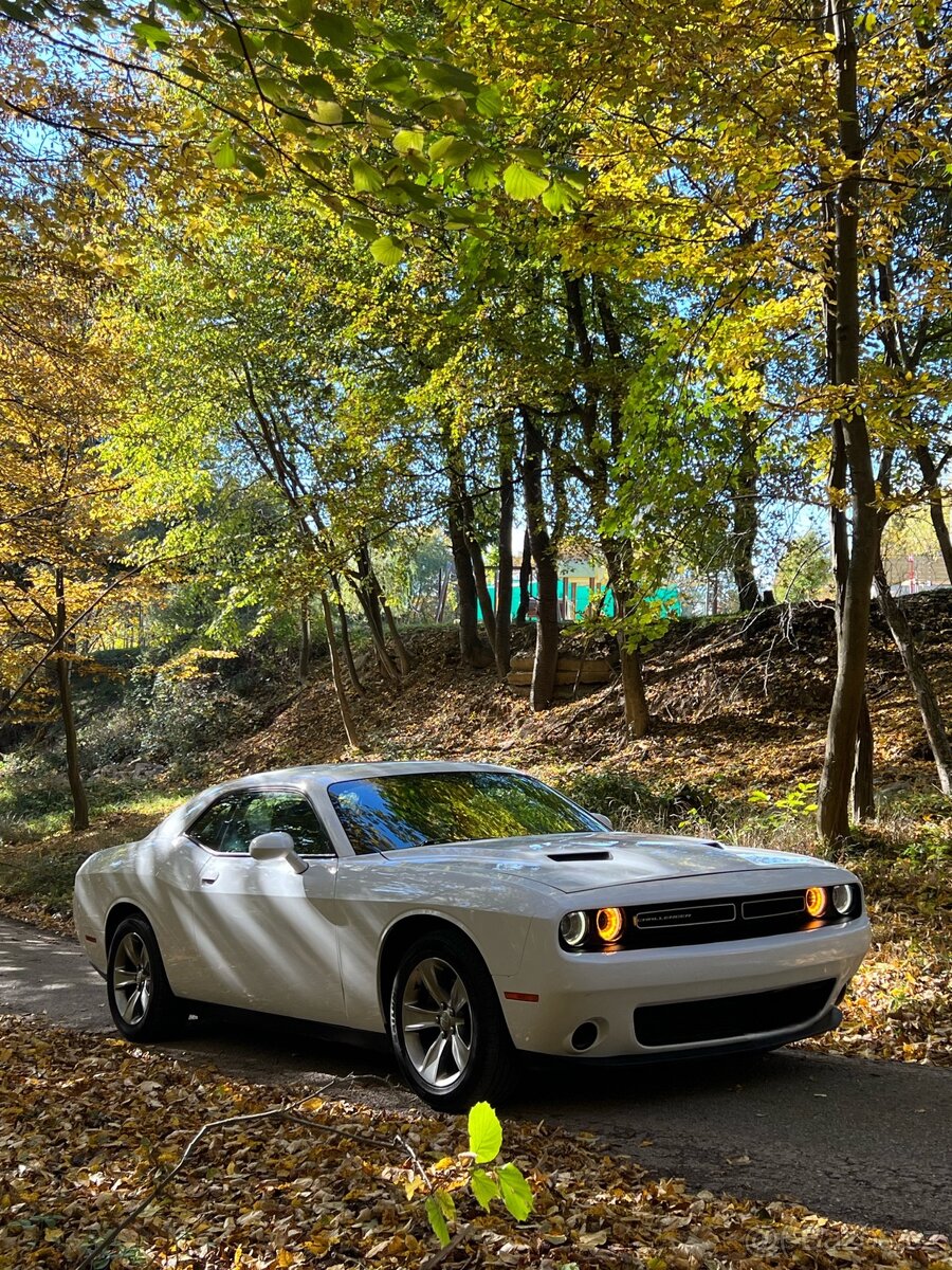 Prodám DODGE CHALLENGER 3.6 - 3