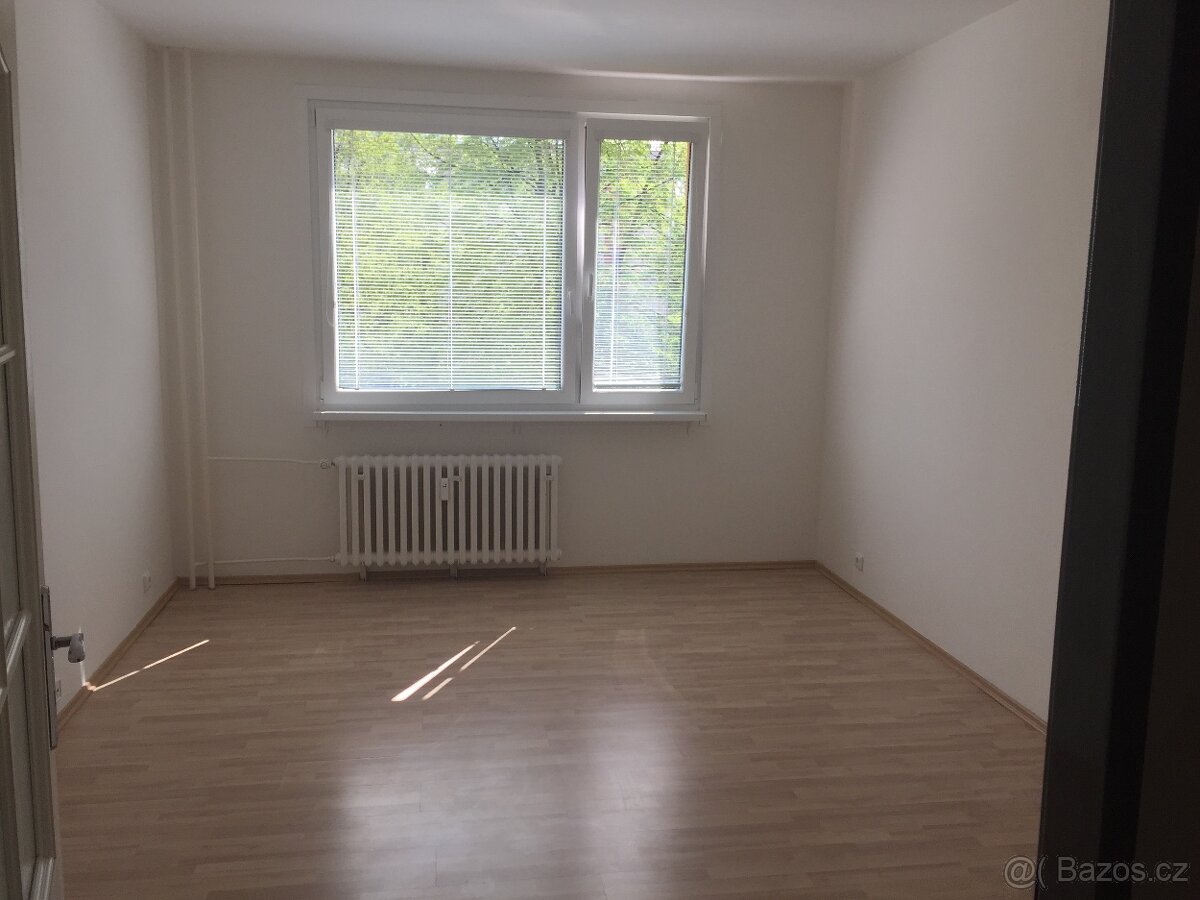 Pronájem bytu 1 plus 2 Litomerice - 3