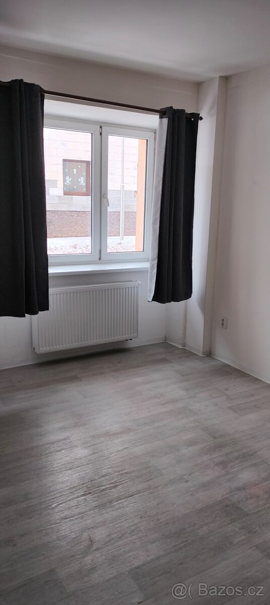 Pronájem bytu 1+1 Kryry - 3