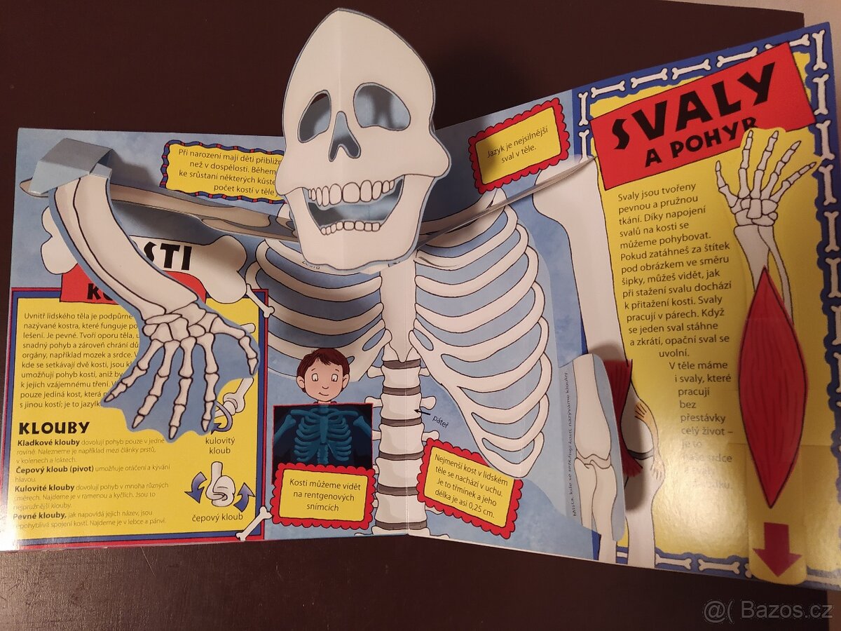 Mladí objevitelé - Lidské tělo - 3