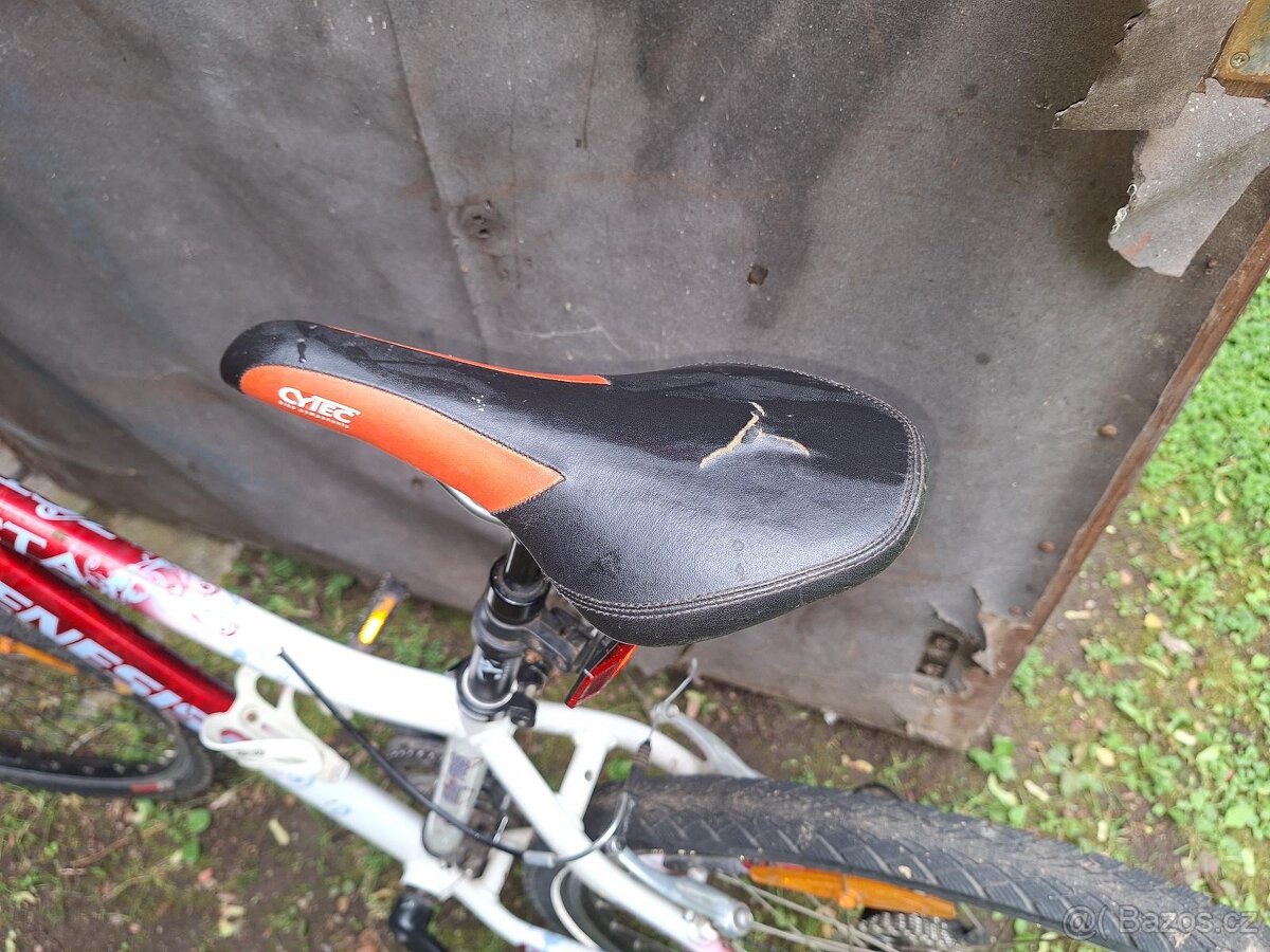 GENESIS Zeta 2013 - 3