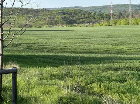 Dražba pozemků - Ivanovice, Brno - 3