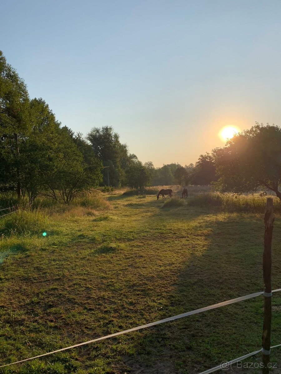 Nabízím netradiční ustájení 24/7 - 3