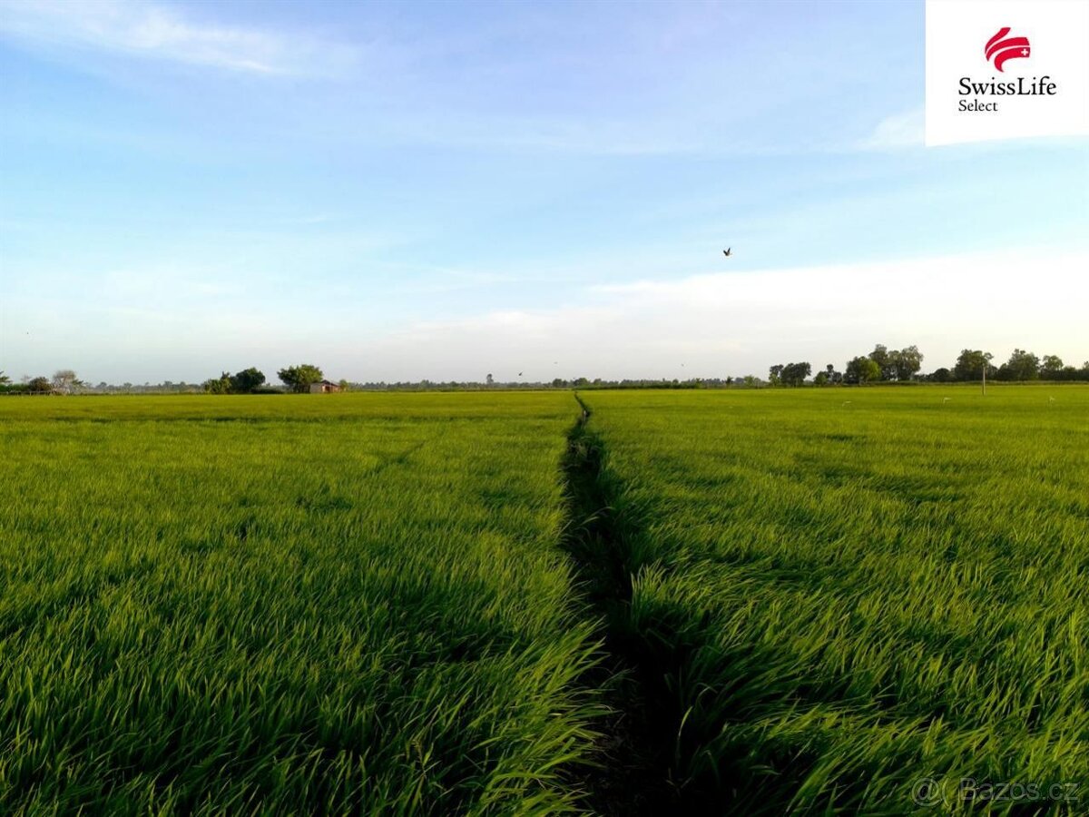 Prodej pole 75919 m2, Knínice - 3