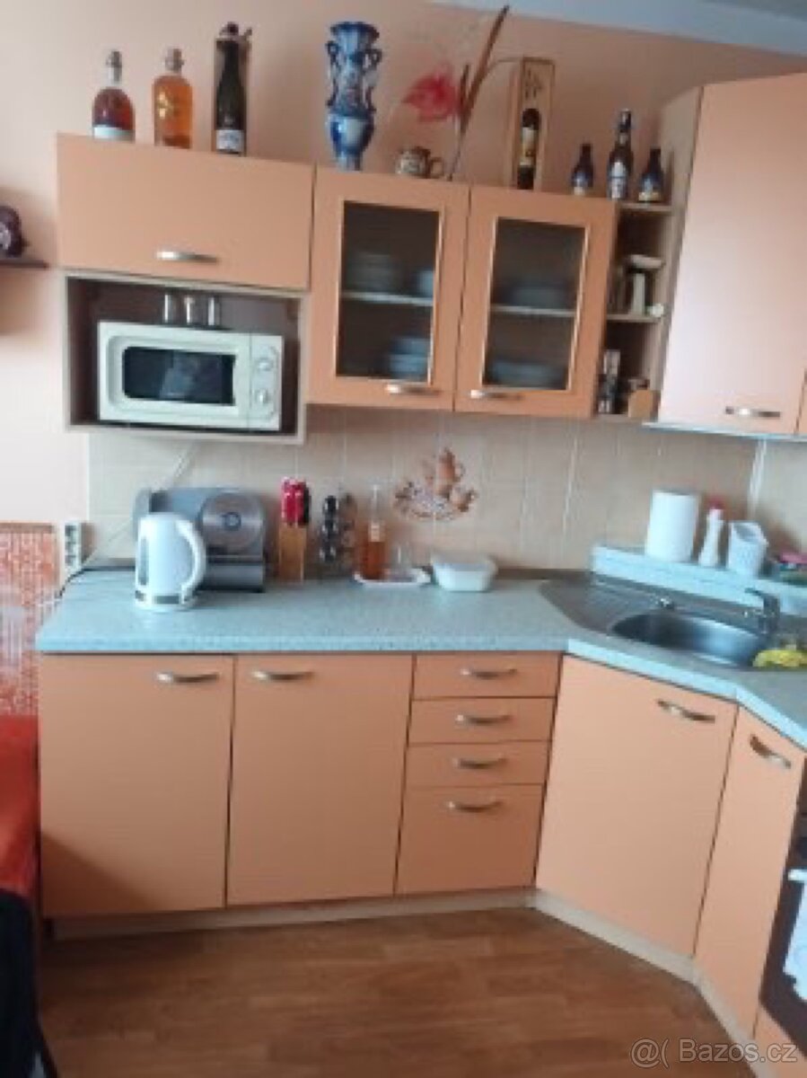 Pronájem bytu 1+1 Písečná Chomutov - 3