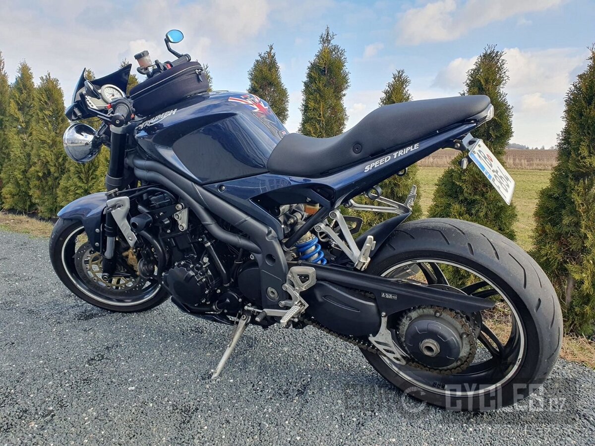 Triumph Speed Triple 1050, 2006 - 3