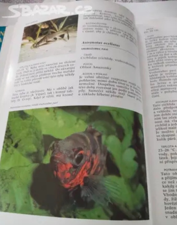 Kniha encyklopedie akvarijních ryb - 3