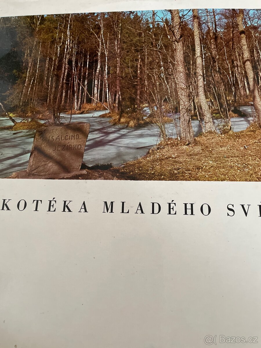 Antonín Dvořák 2ks LP - 3