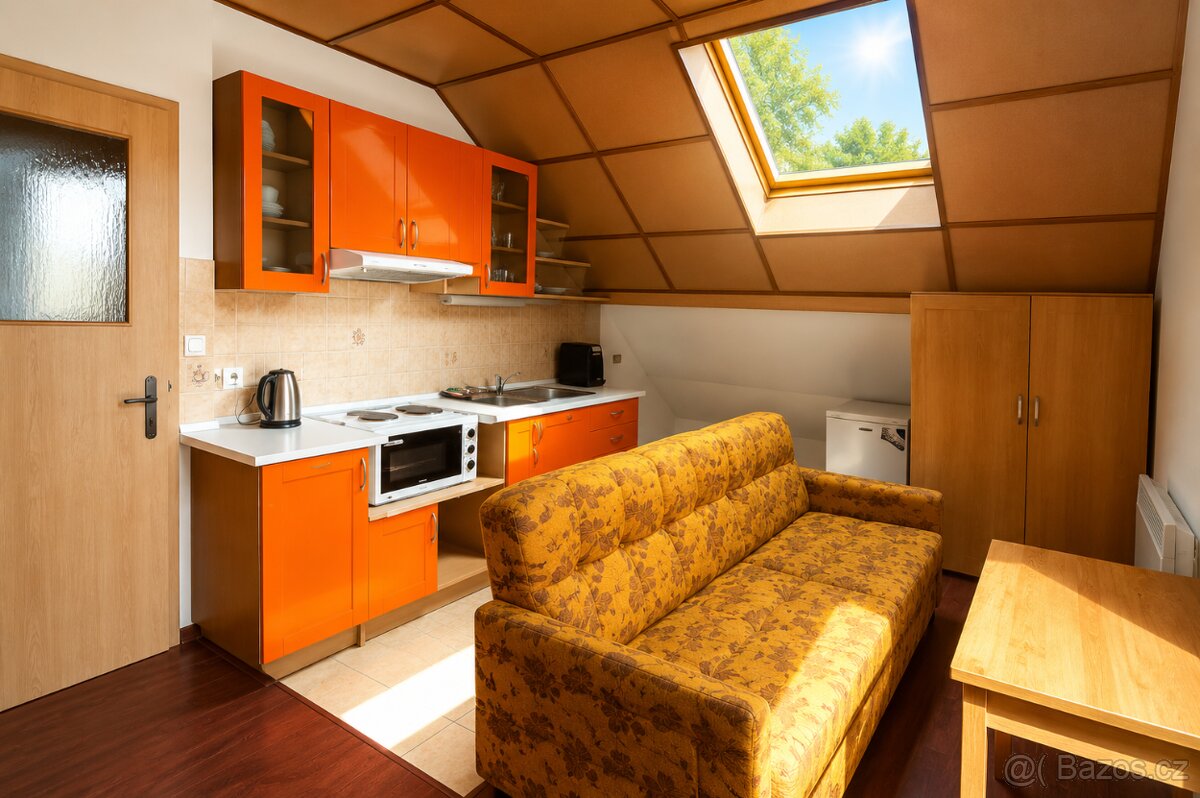 Pronájem bytu 1+kk 35 m², Zbýšov - 3