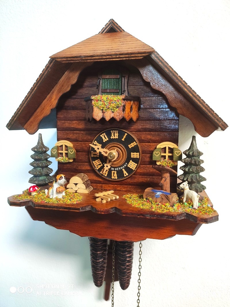 Hezke, kukacky, Schwarzwald - 3