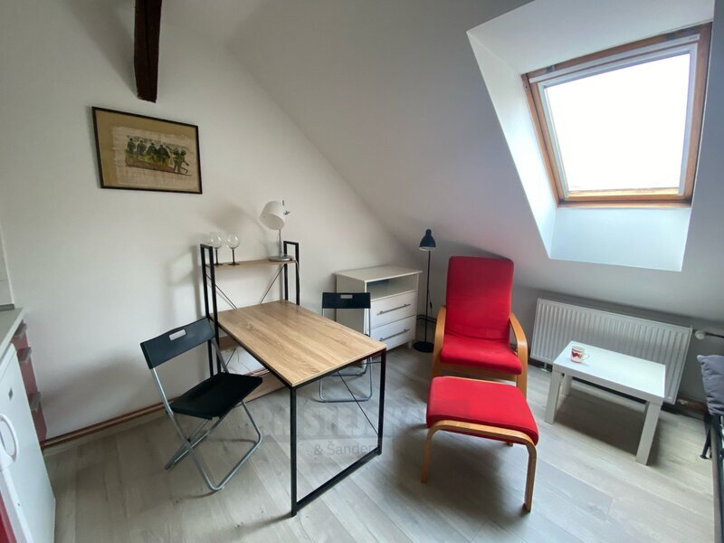 Pronájem bytu 1kk, 22 m2, zahrada, Mánesova ul., České Buděj - 3