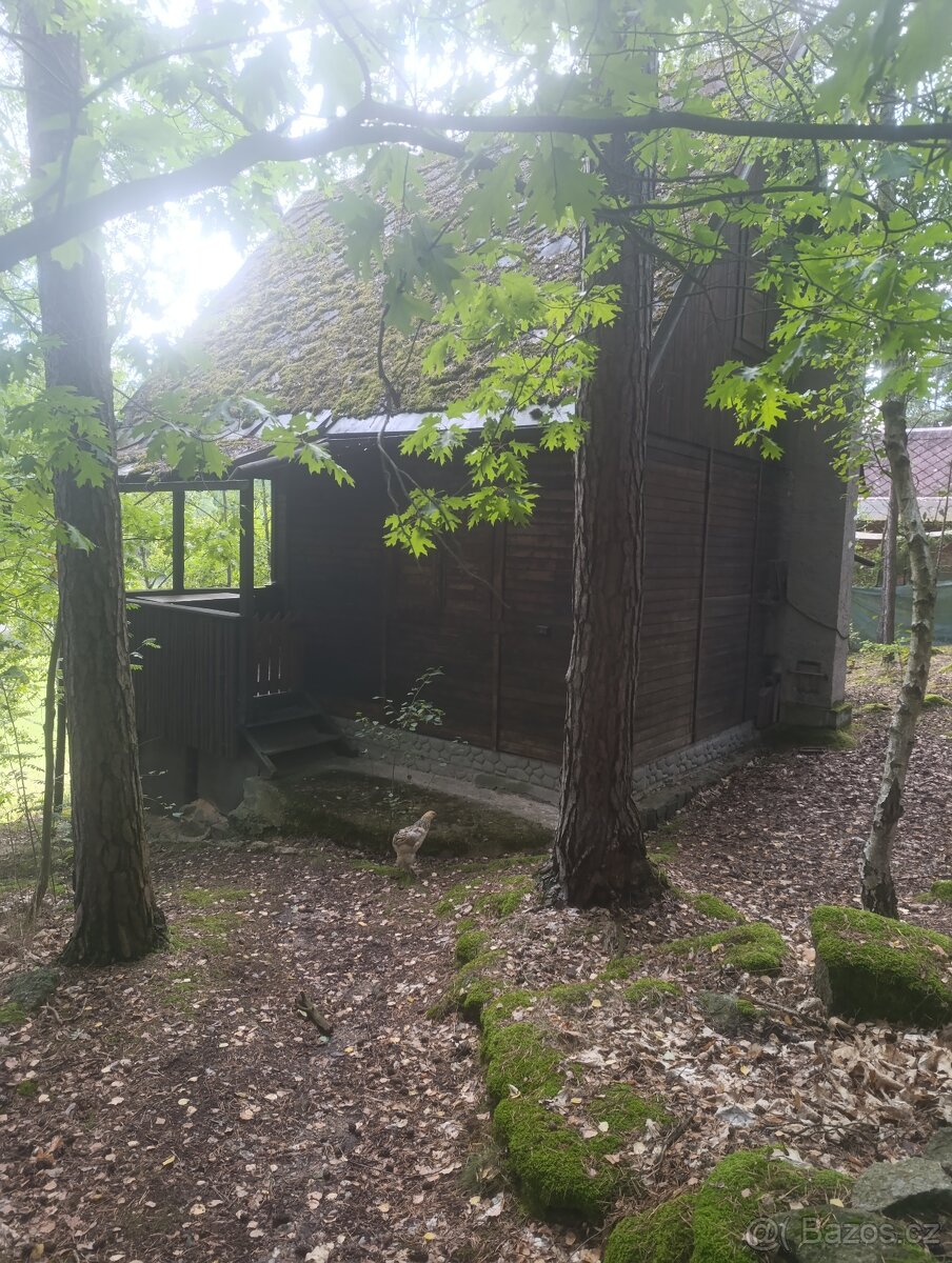 Prodám chatu - 3