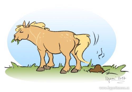 Koňský hnuj ZDARMA - 3