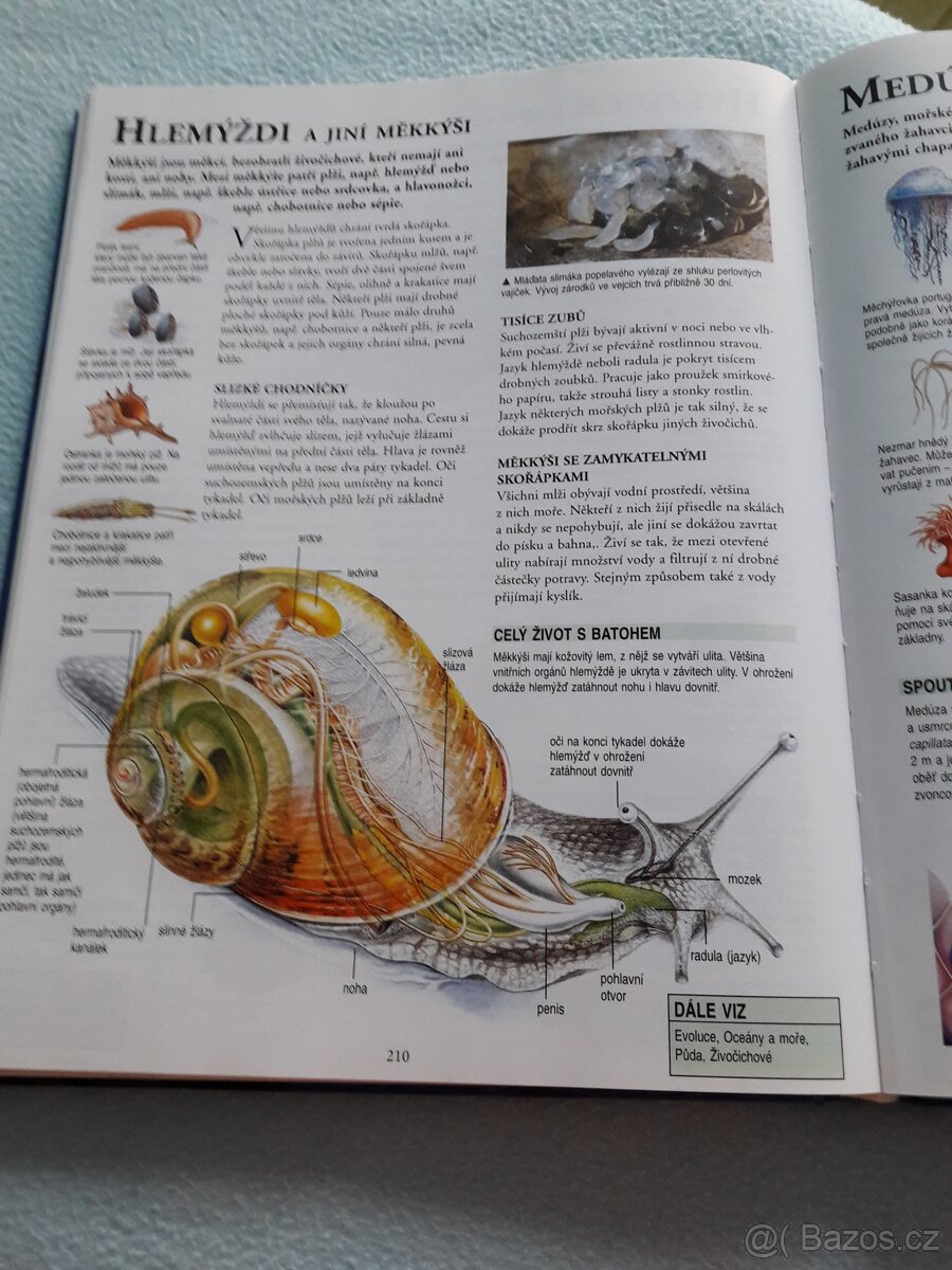 Velká encyklopedie - 3