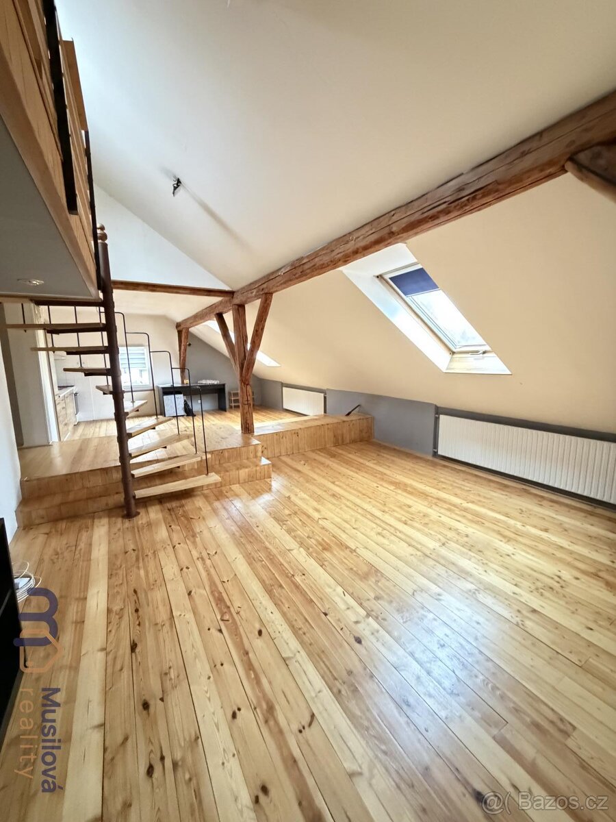 Pronájem bytu 2+kk 71 m2 - 3