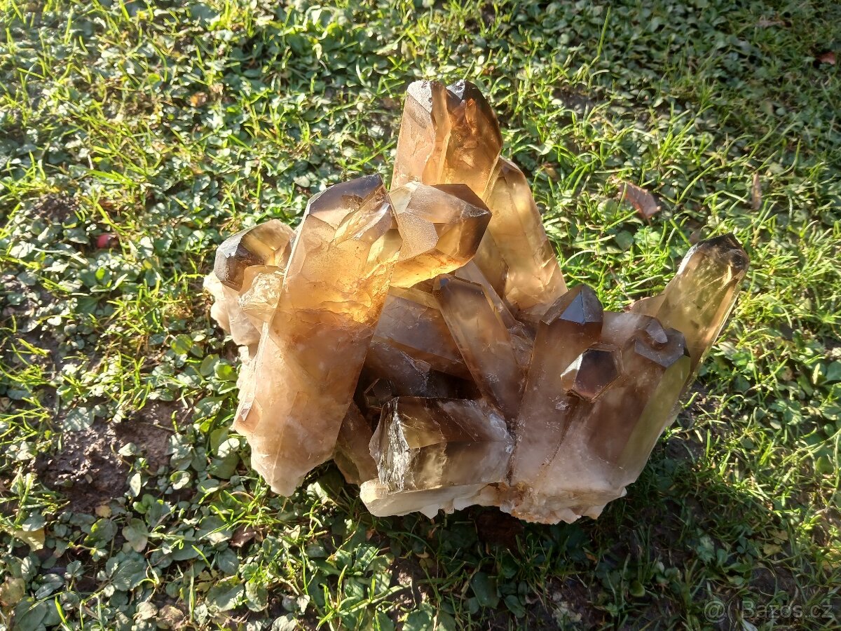 Citrin , velká drůza 6kg - 3