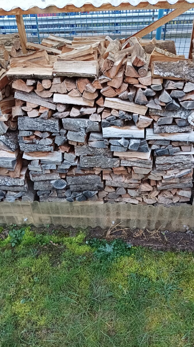 Suché dřevo tvrdé - 3