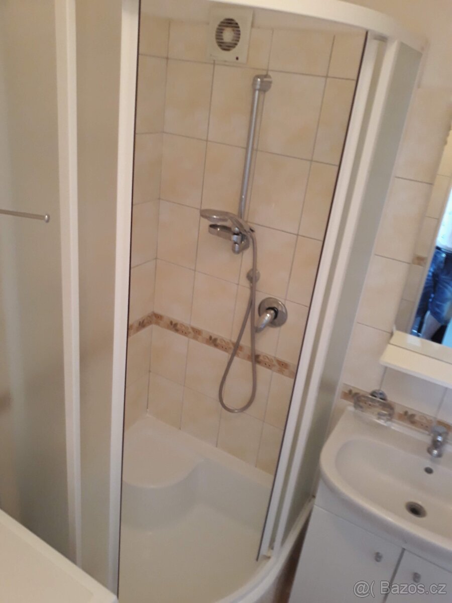 Pronájem bytu 2+1 s lodžií - 3