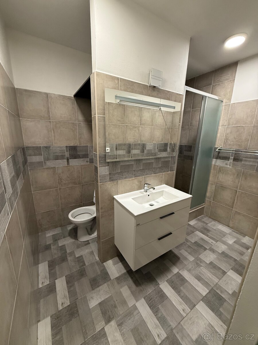 Pronajmu byt 1+1 - 3