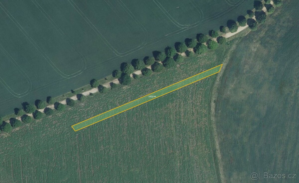 Zemědělská půda, prodej, Nosislav, Brno-venkov - 3