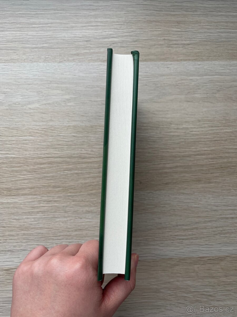 Lynn Messina - Hanebná zrada - 3