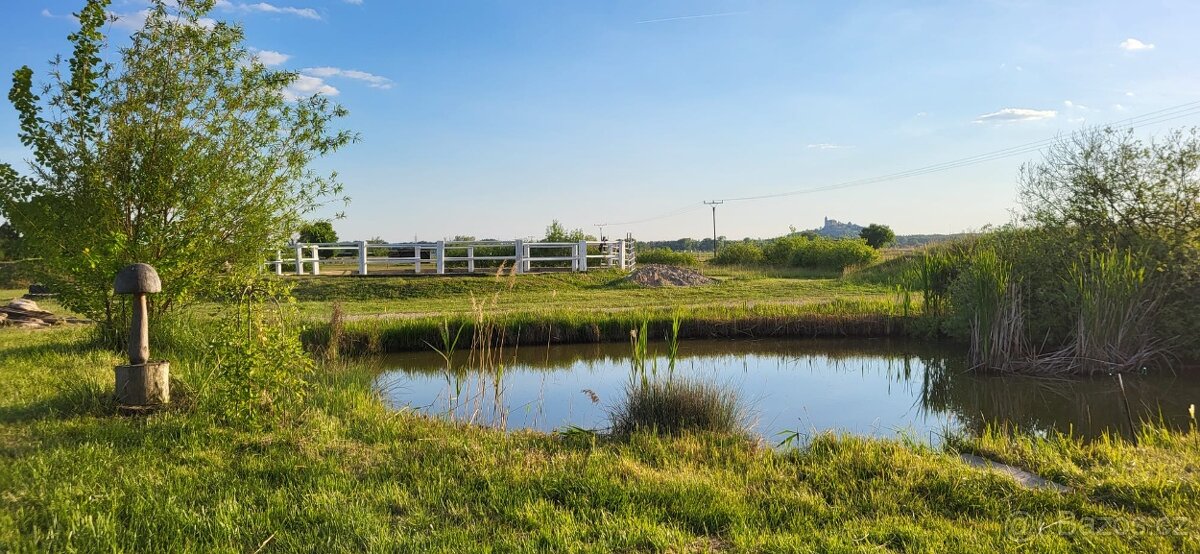 Pastevní ustájení - 3