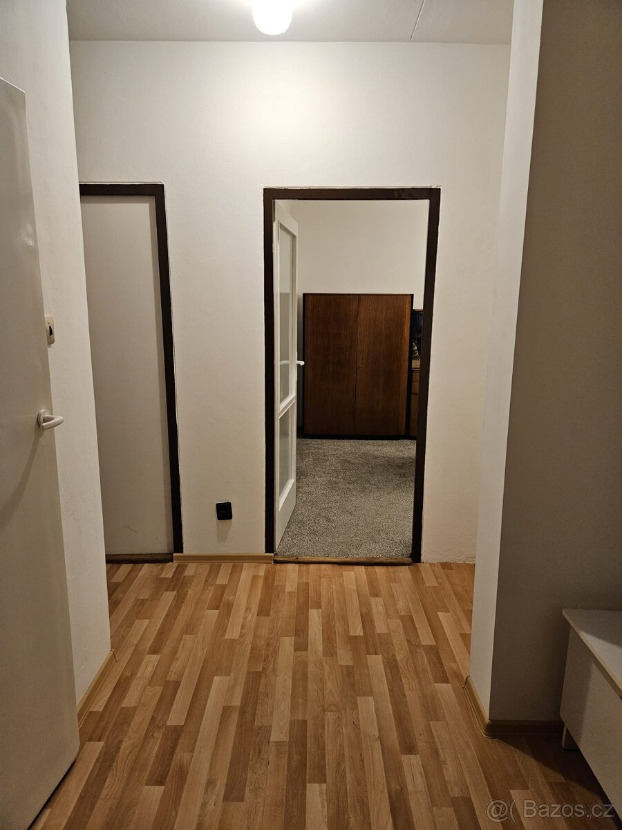 Pronájem bytu 2 + 1 - 3