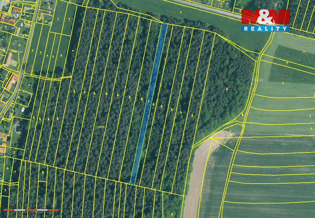 Prodej lesa, 6005 m², Dražíč - 3