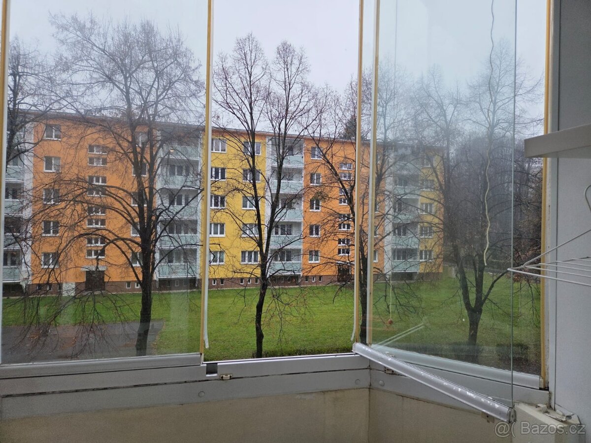 Pronájem byt 2+1 - 3