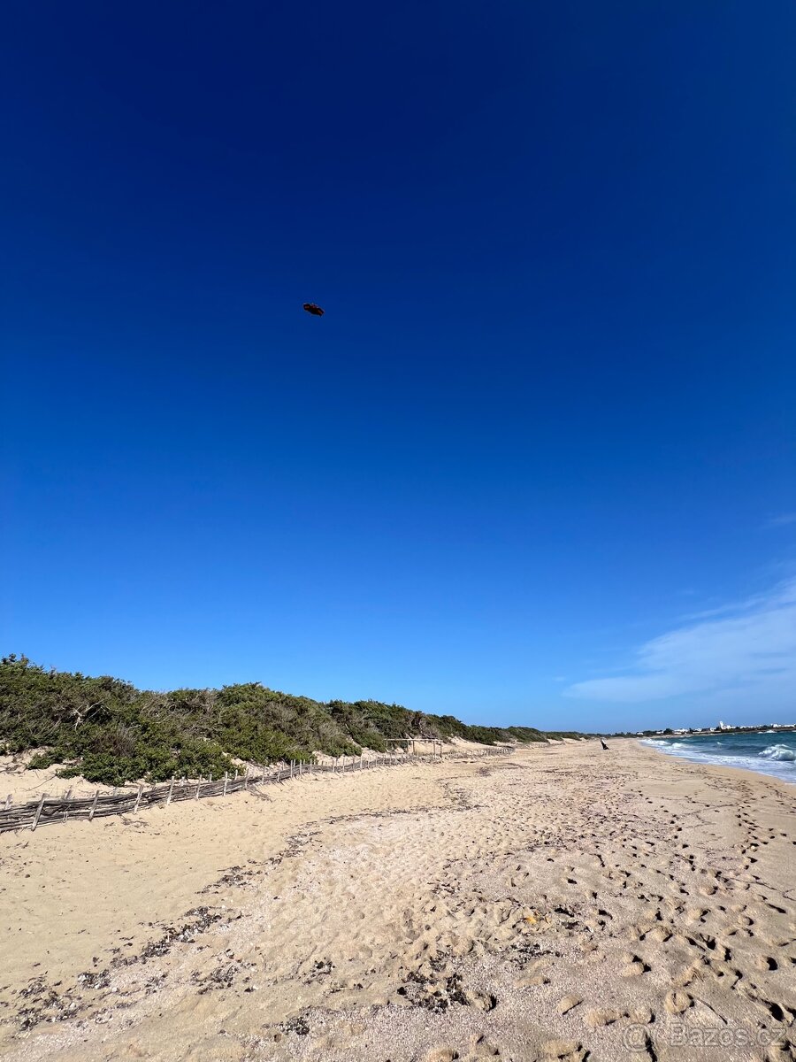 Olivový sad 9100m2 u moře - 3