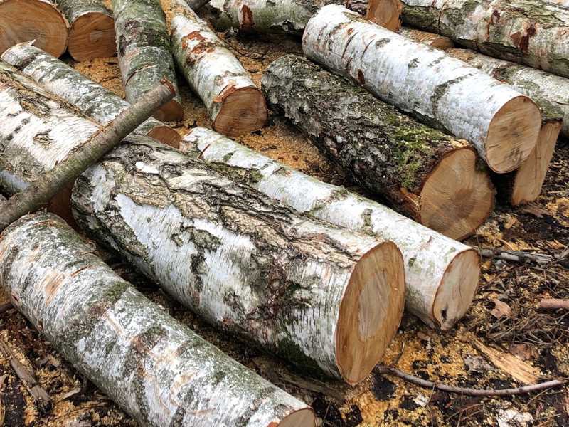 Palivové dříví - 3