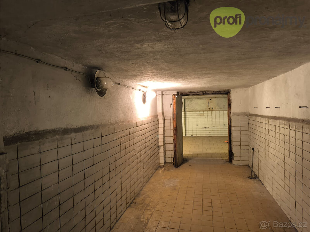 Pronájem skladového prostoru 172 m² - 3